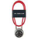 Cable Locks