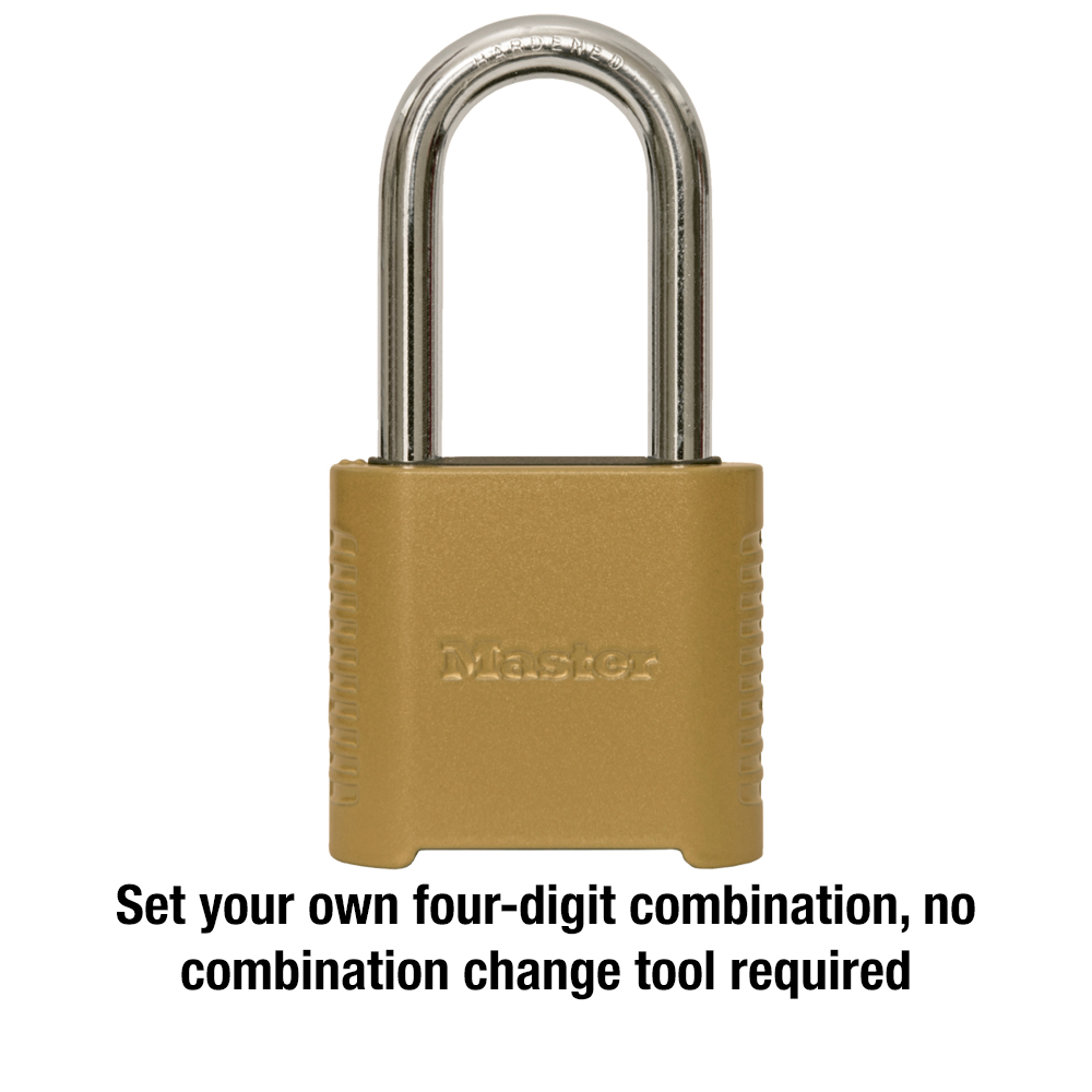 Complete Ladder Security Chain Kit Wall Brackets Locking Bar Padlock Set Keys x2 